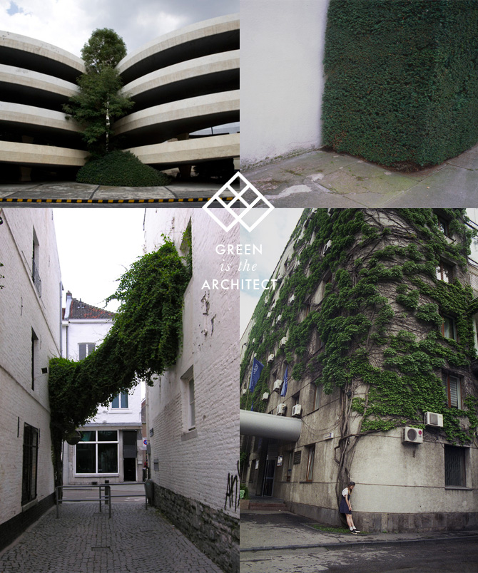 GreenIsTheArchitect MOODS: Green Concrete on thisispaper.com