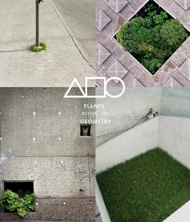 Plants%20like%20Geometry MOODS: Green Concrete on thisispaper.com